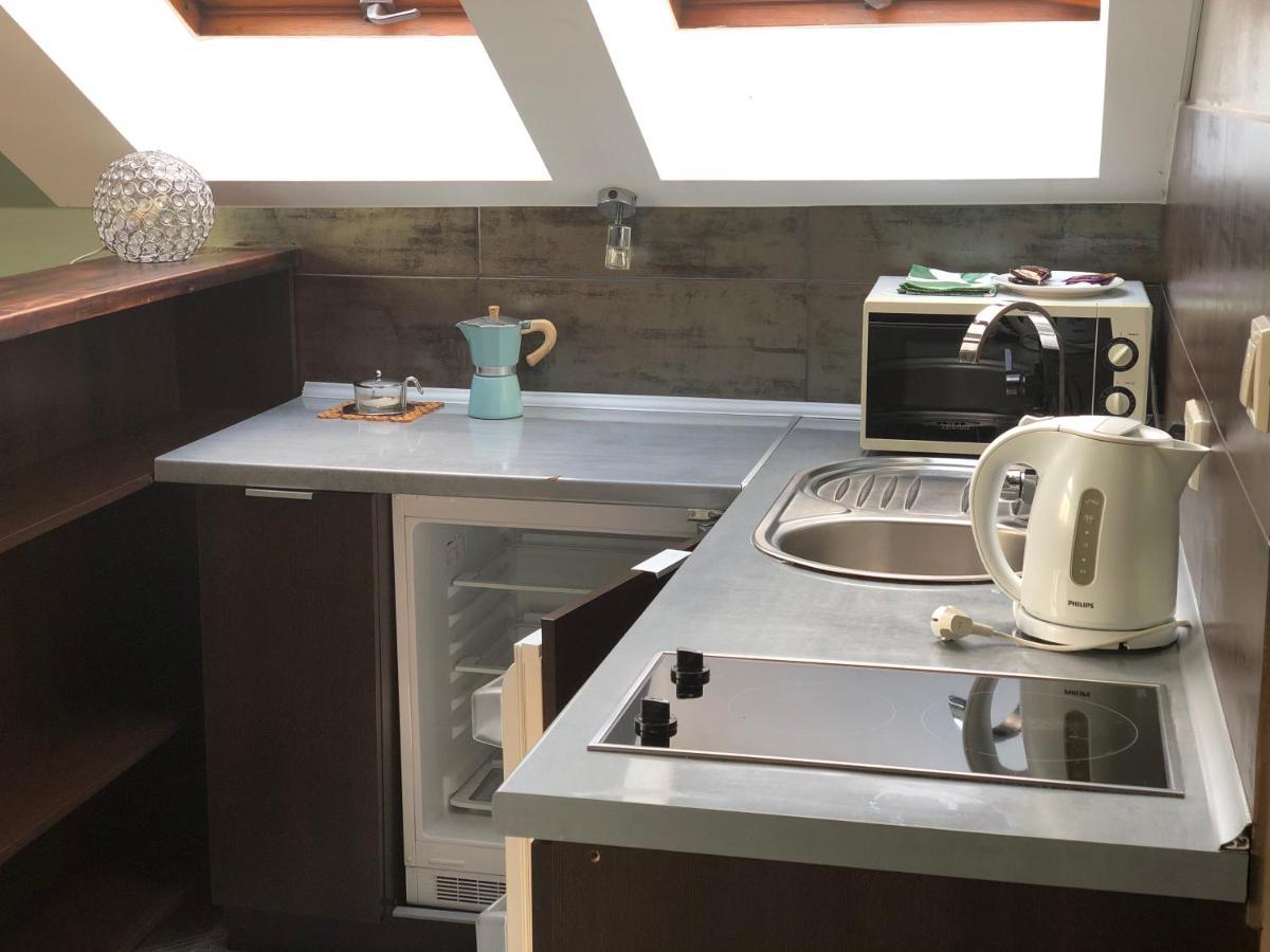 Apartamenty Maria Zywiec Bagian luar foto