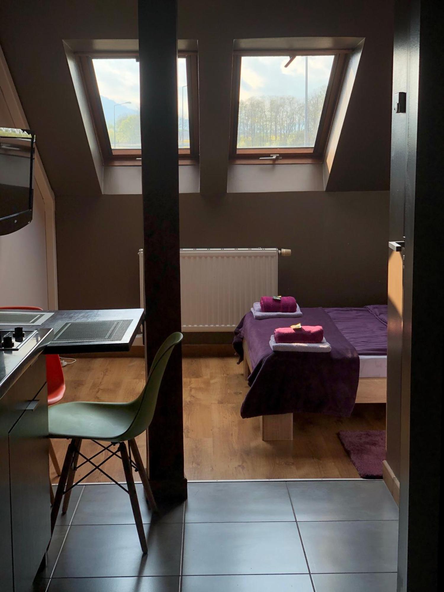 Apartamenty Maria Zywiec Bagian luar foto